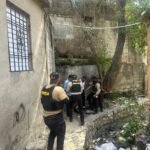 54e8b146-f7b1-4ade-9e70-1c654df53e06