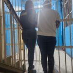 d8e348ad-0598-4a11-87e7-d80bac6b2562