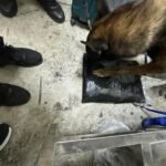 82efd299-d445-43b5-9af0-359fe65486cc