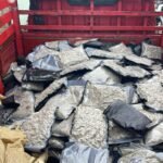 dc18e024-0178-46e2-9ad5-04da409bdfd1