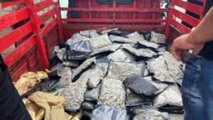 dc18e024-0178-46e2-9ad5-04da409bdfd1